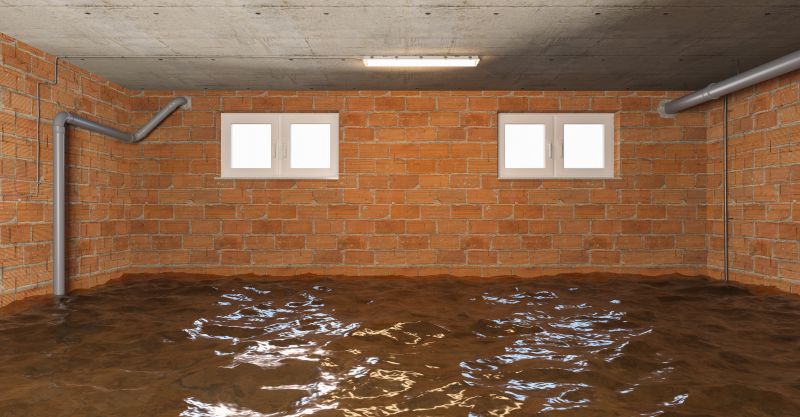Basement Restoration Service in Phoenix, AZ