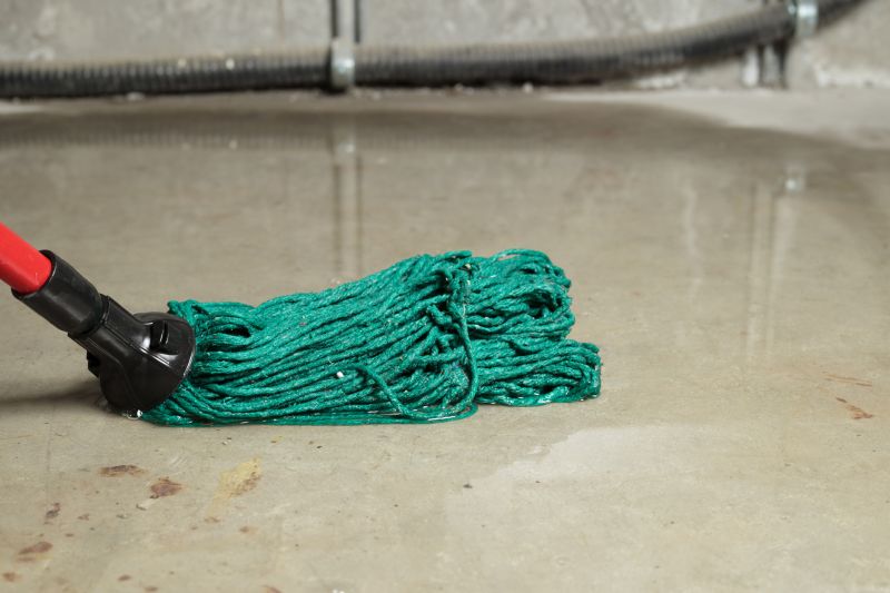 Flood Cleanup Service in Mesa, AZ