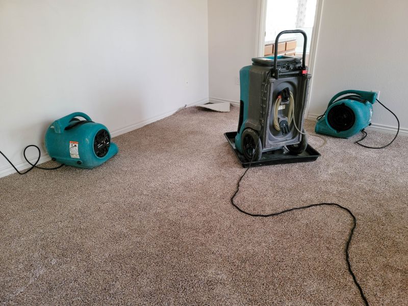 Flood Cleanup Service in Mesa, AZ