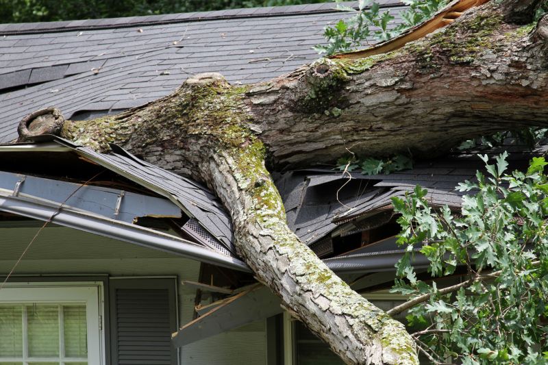Storm Recovery Service in Gilbert, AZ