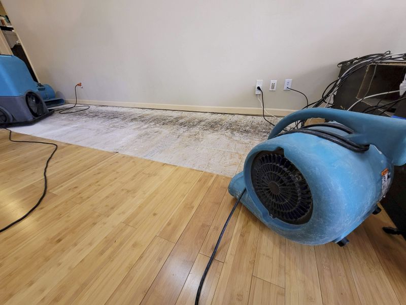 Water Damage Cleanup in Mesa, AZ