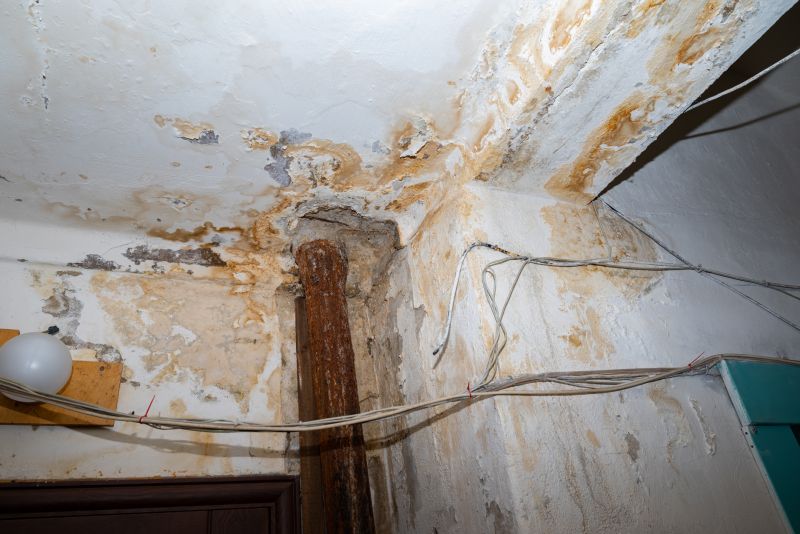 Water Damage Remediation in Mesa, AZ